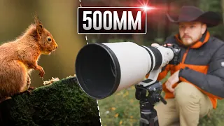 Canon EF 500mm F/4.0L IS II USM Lens | In Depth Review