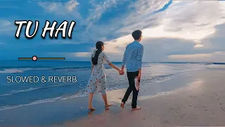 Tu Hai - Slowed & Reverb - Darshan Raval & Prakriti Giri