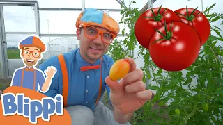 Blippi Visits a Farm! | Learn About Healthy Eating For Kids | Educational Videos for Toddlers