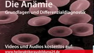 Anämie - Grundlagen und Differenzialdiagnose für die Heilpraktikerausbildung
