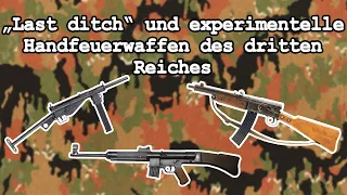 "Last Ditch" und experimentelle Handfeuerwaffen des Dritten Reiches