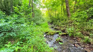 Shores Lake Recreation Area - East Hiking Loop #solohiking