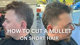 How to Cut a Mullet on Short Hair: tutorial for beginners - mens cuts - unisex fade/cut