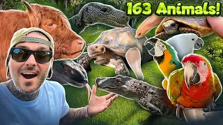 ALL MY ANIMALS on the Property IN ONE VIDEO!