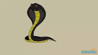 16 Interesting Facts about King Cobras - Fun Facts for Kids | Educational Videos by Mocomi