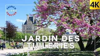 PARIS 2024 Spring City Center Cherry Blossoms Walk Tour 4K 🇫🇷Saint-Honoré➜ Rivoli➜ Tuileries Garden