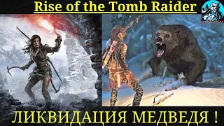 Rise of the Tomb Raider : как быстро убить медведя