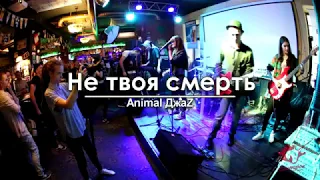 Animal ДжаZ - Не твоя смерть (cover)