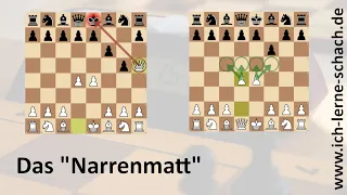 Das "Narrenmatt"