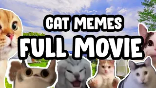 CAT MEMES ROAD TRIP COMPILATION...