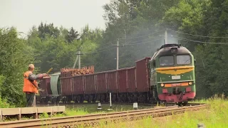 [БЧ] Тепловоз М62-1573 на о.п. Белогруда / [BCh] M62-1573 at Belogruda stop