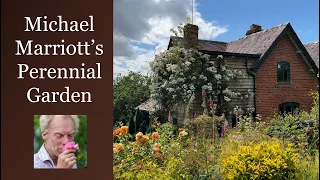 🌹 UK Michael Marriott's Personal Perennial Garden Walking Tour // Shropshire, England