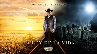 Pero No Lo Hice - Luis Angel "El Flaco" [lyric]