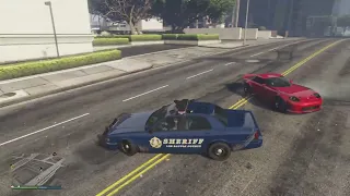 WILD Police High Speed Chases GTA Online