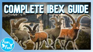 The COMPLETE Cuatro Colinas Ibex Guide! | theHunter - Call of the Wild