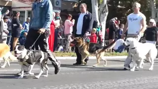 День города Ясиноватая   2015 год