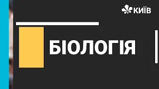 Біологія, 7 клас: Різноманітність птахів, 05.05.2021 - #ВідкритийУрок