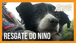 Bombeiros resgatam cãozinho abandonado há dois dias no rio Tietê