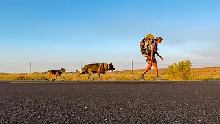 I Hiked Solo Across The Country With My Dogs (Continental Divide Trail Thru Hike 2021 in 3 minutes)