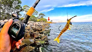 Fishing a JIG! on these JETTY ROCKS *EPIC Results*