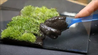 Moss Valley Terrarium | How to make a moss wall.