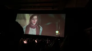 Harry Potter and the Deathly Hallows part 1 in concert - Ron Leaves