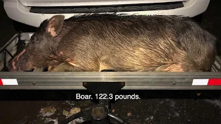 122-pound boar taken with a single shot from a Ruger 10/22 at 25 yards.