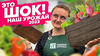 РОЛИК ПРО ТО, КАК МЫ ПЕРВЫЙ УРОЖАЙ СОБИРАЛИ