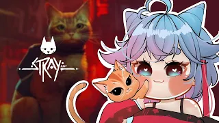 i'm a cat ! - STRAY 【 Vtuber ID 】#1