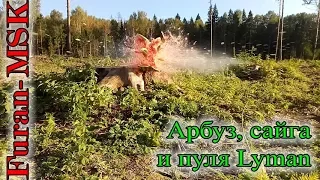 Сайга и лиман против арбуза :)