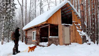 2 SOLO BUSHCRAFT TRIP - HUNTERS' HUT, MOOSE, RED DOG