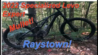 2022 Specialized Levo Expert Review: Trail ride in Pennsylvania...Love the Mullet!