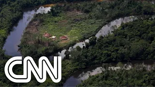 STF vai apurar indícios de dados falsos sobre indígenas | CNN PRIME TIME