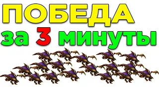 ПРОСТО ПОБЕЖДАЙ ПРОТОСС ЗА 3 МИНУТЫ. ЗЕРГИ ГАЙД СТАРКРАФТ 2