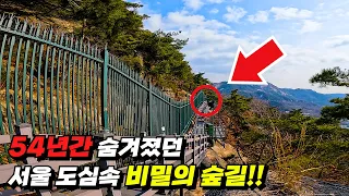 Walking through Seoul’s Secret Forest, hidden by North Korea for 54 years