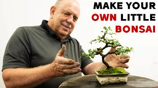 Learn How To Make Your Own Little Bonsai