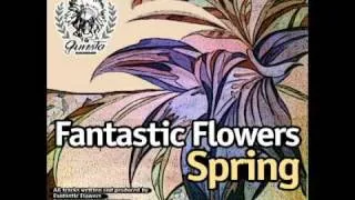 Fantastic Flowers Spring (релиз 2011)