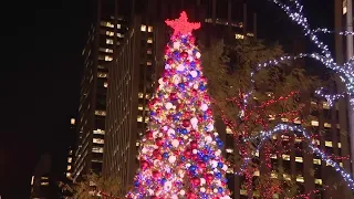 Replacement Fox News Christmas Tree in Fox Square Illuminated