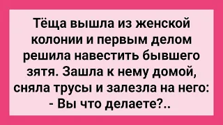 Теща из Зоны и Бывший Зять! Сборник Свежих Смешных Жизненных Анекдотов!