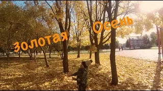 VLOG Прогулка в парке/ Изучаем военную технику/ Гуляем на площадке