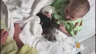 NJ Boy Gets New Puppy After Mother Says She Was Scammed By Another Seller