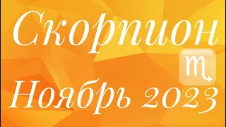 СКОРПИОН ♏️ НОЯБРЬ 2023 🚀ПРОГНОЗ НА МЕСЯЦ ТАРО ЛЕНОРМАН КЕЛЬТОВ 12 ДОМОВ ГОРОСКОПА TAROT NAVIGATION