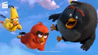 Angry Birds - Copains comme cochons : Une trêve (CLIP HD)