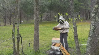 Humbling a Hot Hive [22EP10]