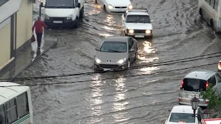 У природы нет плохой погоды . Алиса Фрейндлих