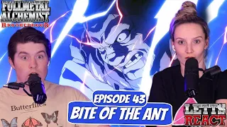 MARCOH VS ENVY! | Full Metal Alchemist: Brotherhood Reaction | Ep 43, "Bite of the Ant"