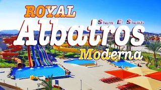 Royal Albatros Moderna 5* | Hotel Eгипет ☀️ Sharm El Sheikh