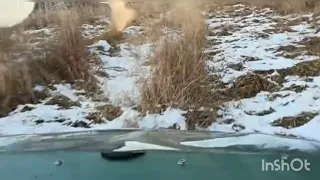 болотох тингер покатушки по реке и болоту