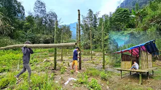 TIMELAPSE: 20 days alone building a shelter in the forest | homeless boy living in the forest