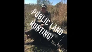 How to Go Hunting in Florida: Online Tutorial on how to hunt public land